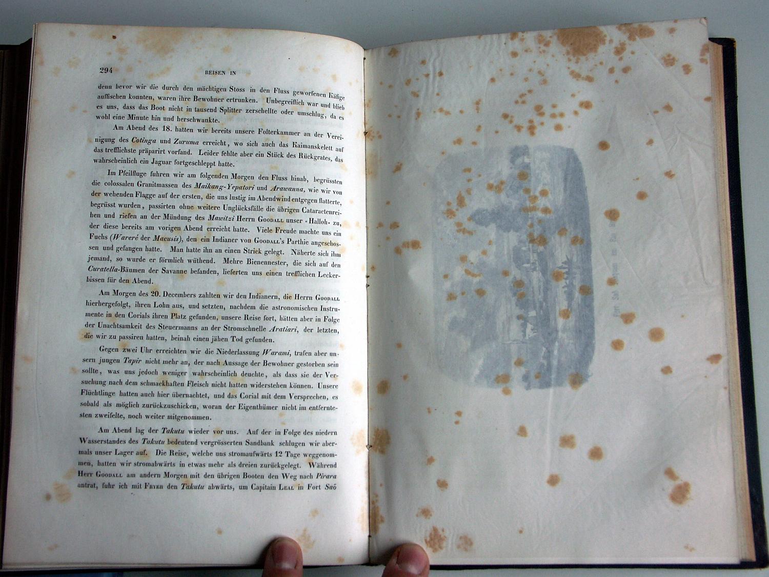 ZZ-RISC48,S.294a 20.Dezember